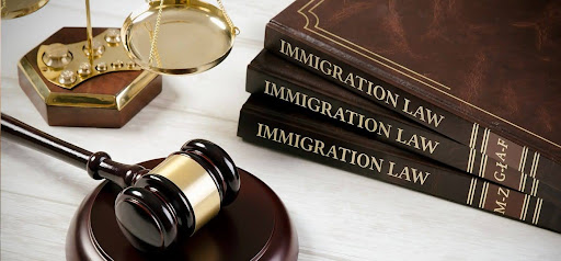 Immigration Law Updates You Need to Know